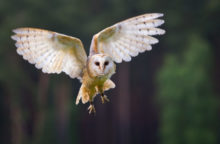 400713_gettyimages 104660080 676x442.jpg