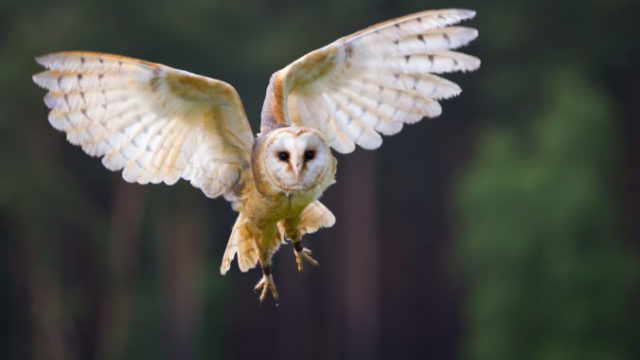 400713_gettyimages 104660080 676x442.jpg