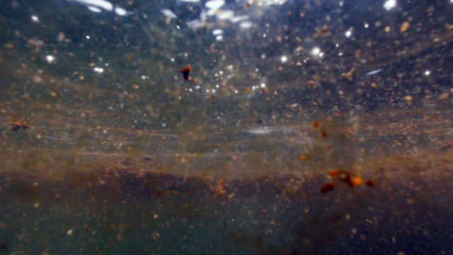 401646_gulf_oil_spill_trial 72dc04f1bf9c4a2e9f7f0ec77dd5aed8 676x451.jpeg