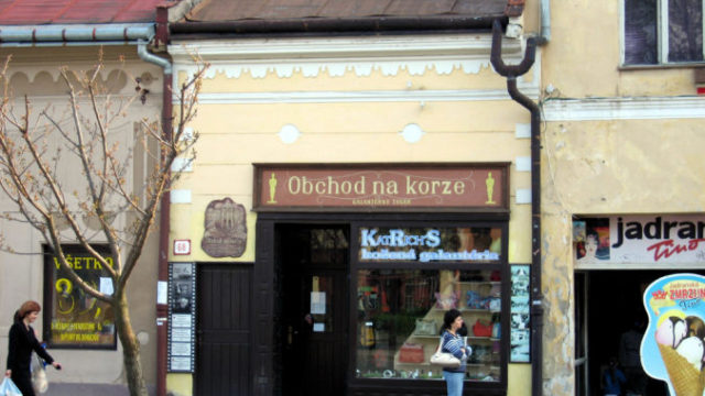 401742_na korze 676x507.jpg
