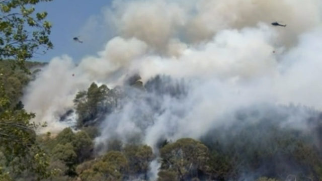 402458_new_zealand_wildfire_22468 5e93620d45234e63a4a6ba8e06b21d41 676x397.jpg