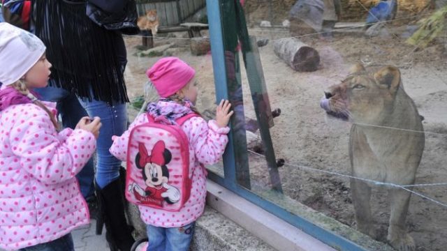403316_zoo 676x422.jpg
