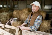405119_slovenska farma02 676x450.jpg