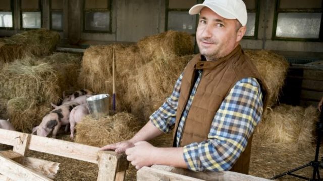 405119_slovenska farma02 676x450.jpg
