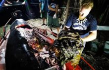 406429_plasty 2 676x435.jpg