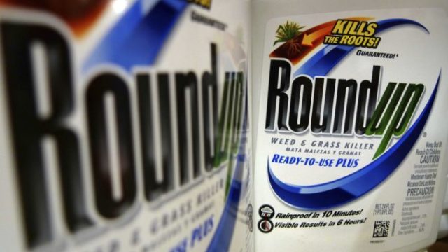 406700_roundup_weed_killer_cancer_79958 26ab3306dae6424897e96b40cc5798e3 676x435.jpg