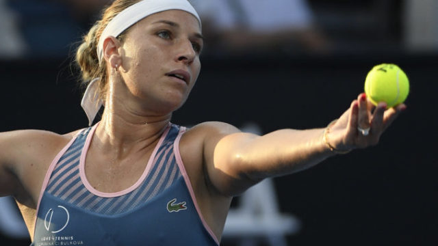 406745_cibulkova 676x488.jpg