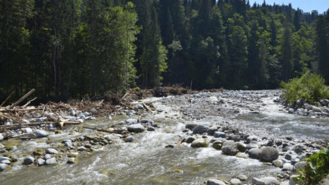 407699_tanap 676x448.jpg