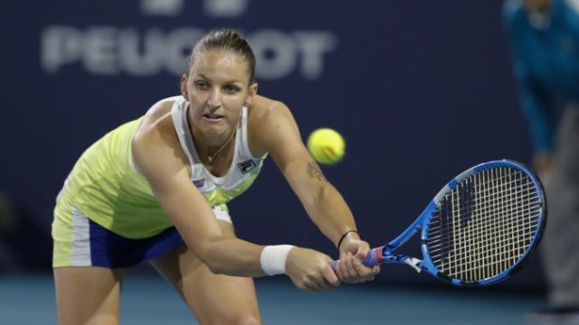 407743_karolina pliskova 676x413.jpg