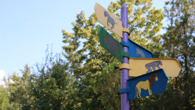 408376_zoo 676x451.jpg