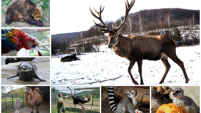 408569_zoo kosice.jpg