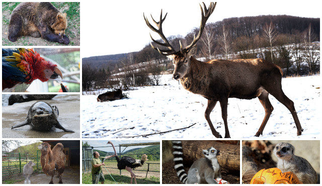 408569_zoo kosice.jpg