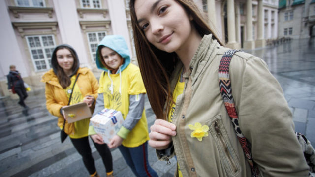 409213_narcis 676x465.jpg