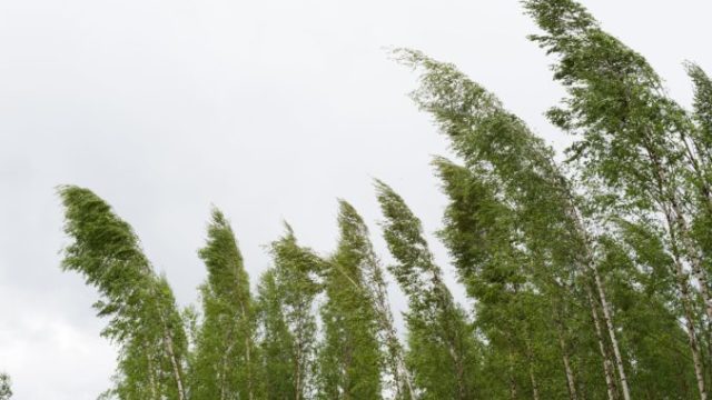 410487_vietor vystraha 676x450.jpg
