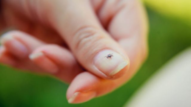 411240_adobestock_232280088 676x451.jpeg