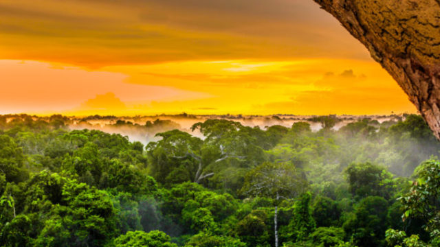 411281_amazonsky prales 676x451.jpg