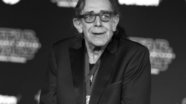 411653_peter mayhew 676x498.jpg