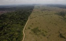 412056_brazil_environment_44664 712eac6c9f774ab0a8d3fdb96720f1c9 676x423.jpg