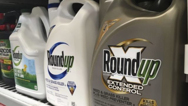 412871_roundup_weed_killer_cancer_35336 f16a09bb84524626861eaa98505ca433 676x451.jpg