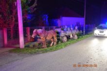 413872_povoz 1 676x451.jpg