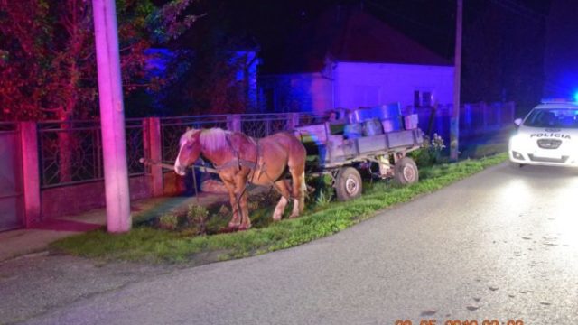 413872_povoz 1 676x451.jpg