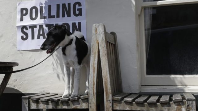 414048_britain_european_elections_17574 b4a16ae2c5cb4fb68eb4e65067e659c2 676x438.jpg