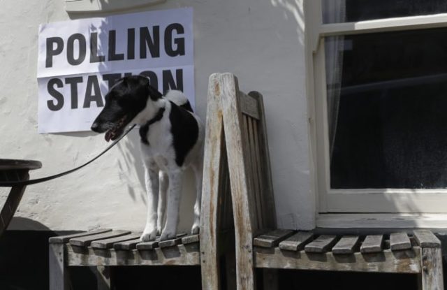 414048_britain_european_elections_17574 b4a16ae2c5cb4fb68eb4e65067e659c2 676x438.jpg