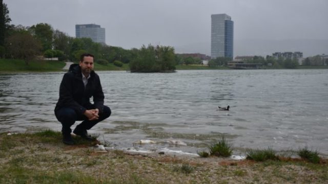 414526_kusy 676x451.jpg