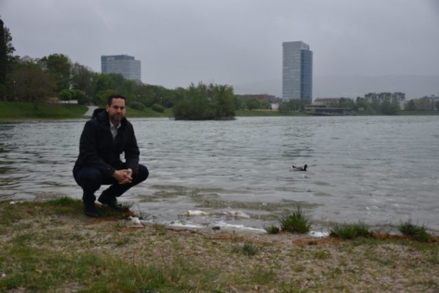 414526_kusy 676x451.jpg