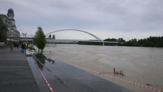 414858_img_7825 676x451.jpg
