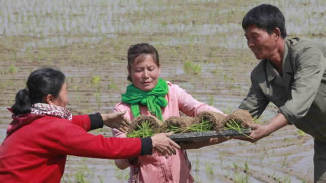 415089_north_korea_koreas_diplomacy_61846 fc1d07745933413e842efca5c2809a16 676x451.jpg