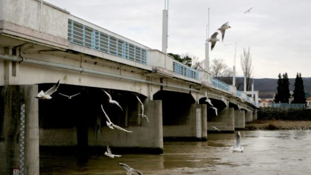 415880_img_6260 676x463.jpg