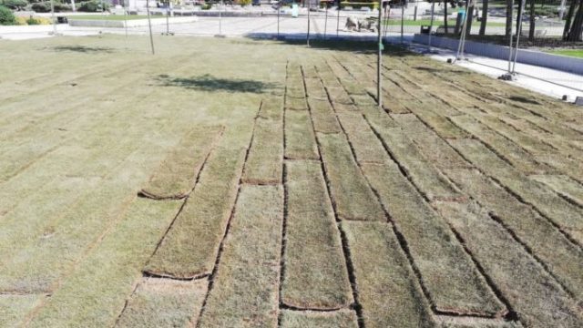416021_62081510_10205710910969541_1151049994082451456_o 676x507.jpg