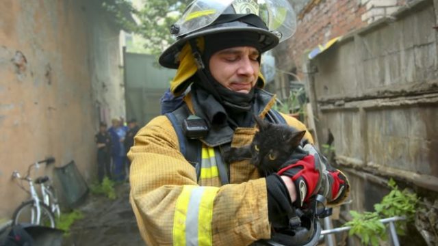 416454_russia_animal_shelter_fire_38035 b5fe0cc95b73466480a2af93f1612326 676x451.jpg