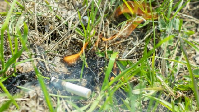 417963_cigareta 676x451.jpg