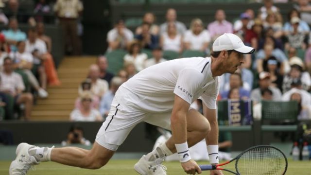 418241_andy murray 676x494.jpg