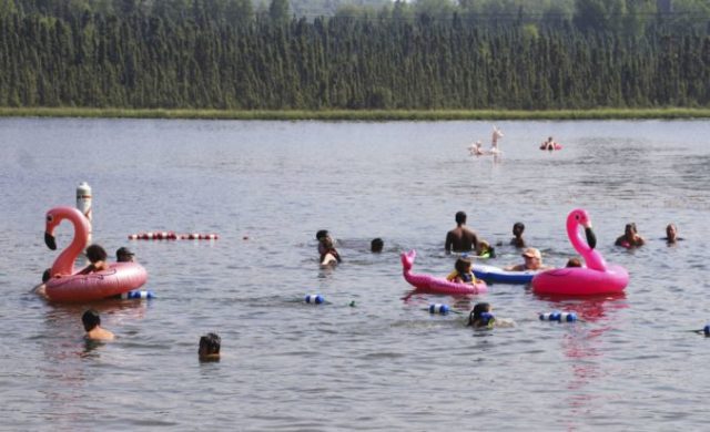 418285_alaska_heat_wave_88028 baff2e2463e64450b012276db1a74f89 676x412.jpg