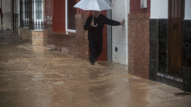 418550_spanielsko 676x451.jpg