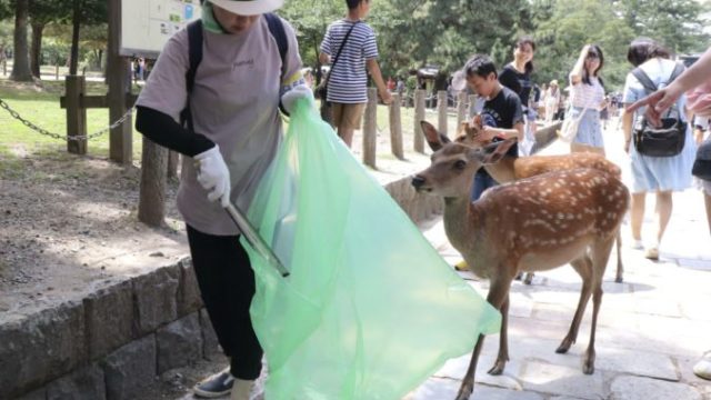 418714_japan_nara_deer_18510 7656b1f1314d436dac7c2d130ce5c19c 676x513.jpg