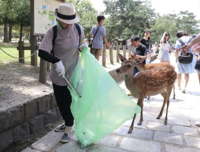 418714_japan_nara_deer_18510 7656b1f1314d436dac7c2d130ce5c19c 676x513.jpg