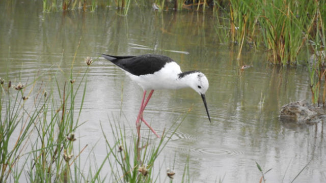 419525_gettyimages 1152135592 676x507.jpg