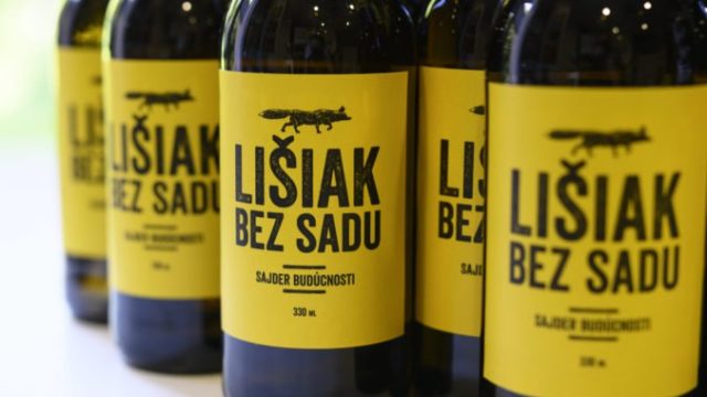 419786_dsc_4426 676x450.jpg