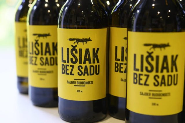 419786_dsc_4426 676x450.jpg