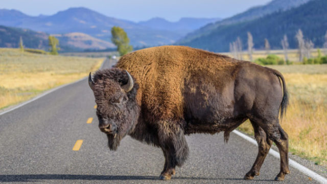 419822_thinkstockphotos 539332930 676x451.jpg