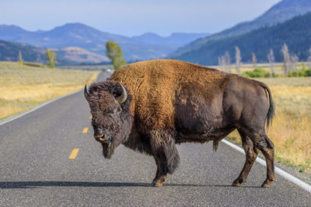 419822_thinkstockphotos 539332930 676x451.jpg