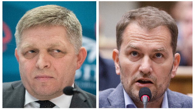 419827_fico matovic.jpg