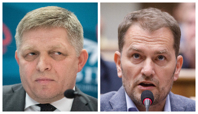 419827_fico matovic.jpg