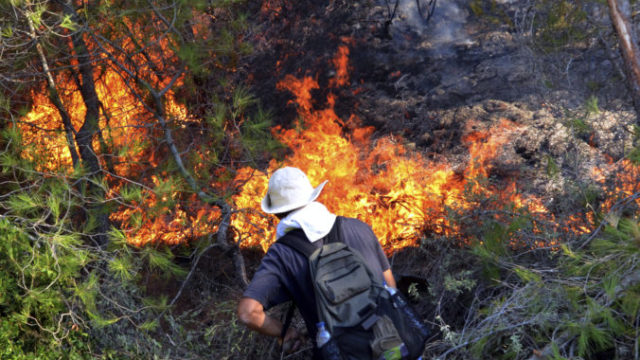 419853_poziar 9 676x478.jpg