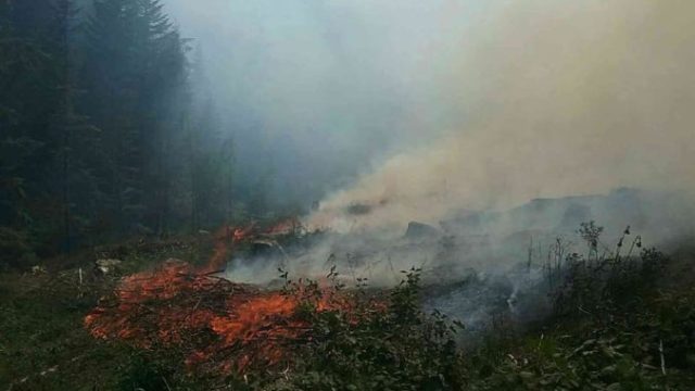 419980_67558923_1857979307650611_658531749059362816_n 676x507.jpg