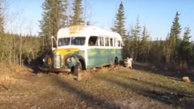 420157_alaska_bus 676x464.jpg